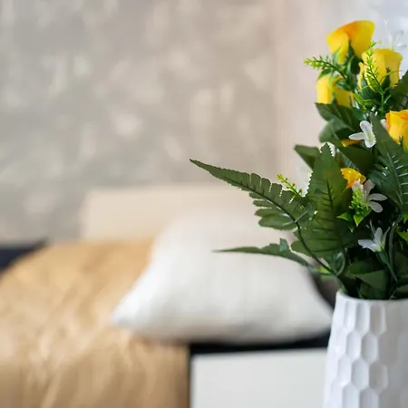 Casa Maddalena - Teatro Clerici, Parcheggio E Metro