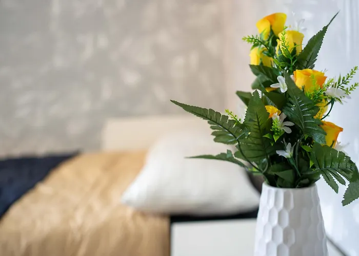 Casa Maddalena - Teatro Clerici, Parcheggio E Metro